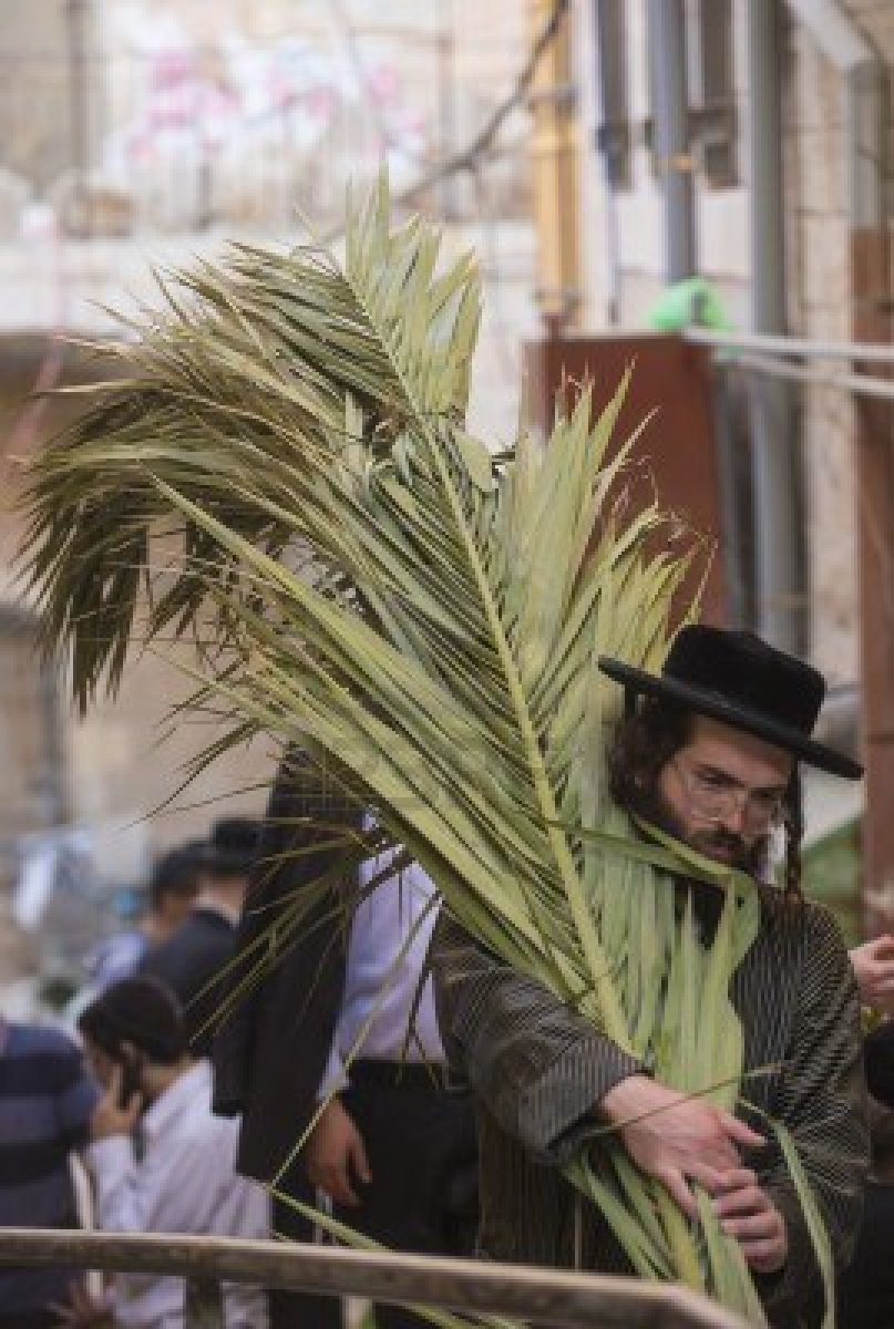 Intersections The Judaism Behind Palm Sunday And Why Jesus Most Likely